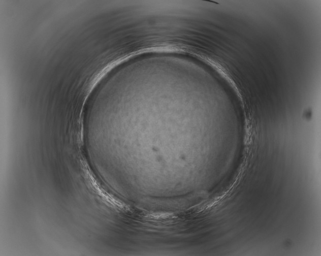 X0000116100837200912071258