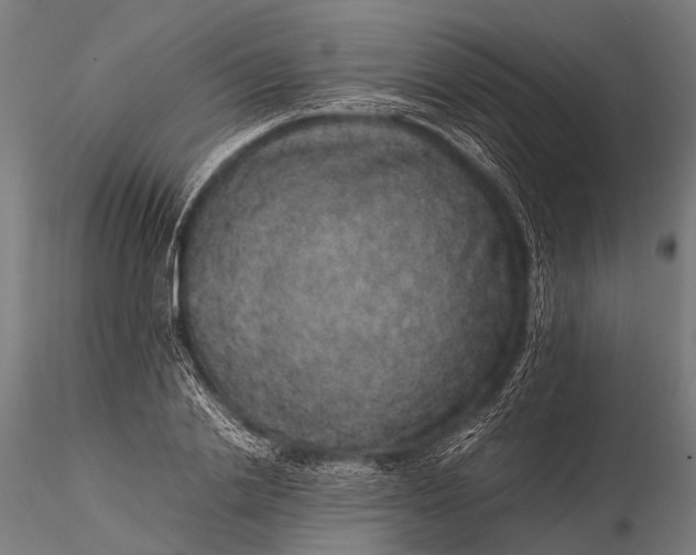 X0000116100838200912071258