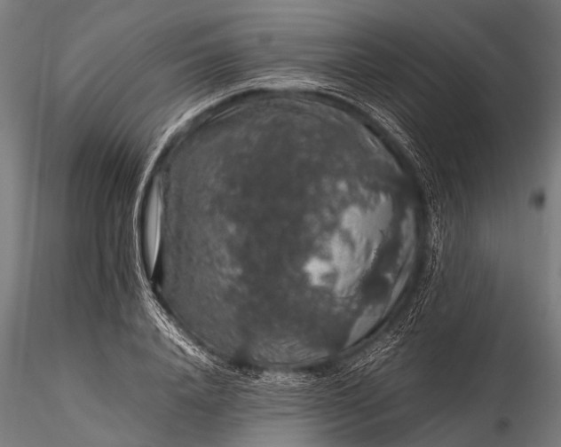 X0000116100840200912071258