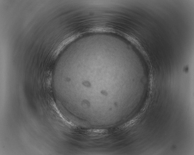 X0000116100841200912071258