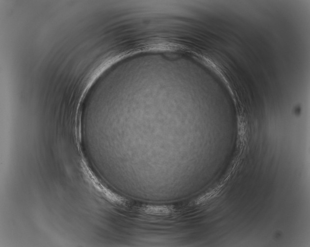 X0000116100843200912071258