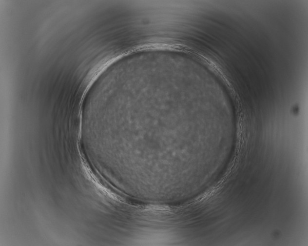 X0000116100844200912071258