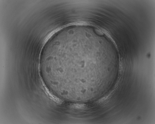 X0000116100845200912071258