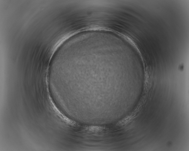 X0000116100847200912071258