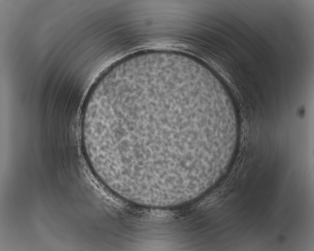 X0000116100848200912071258