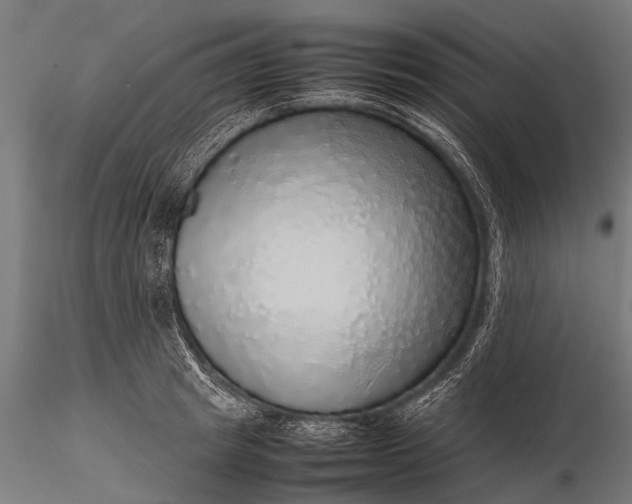 X0000116100849200912071258