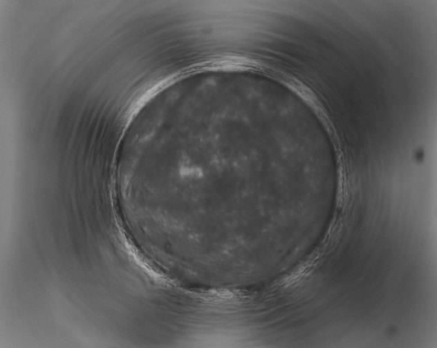 X0000116100850200912071258