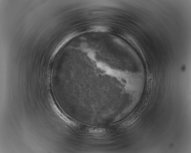 X0000116100851200912071258