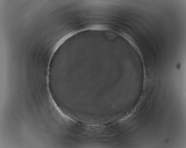 X0000116100853200912071258