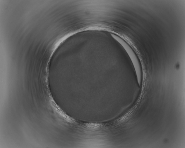 X0000116100854200912071258