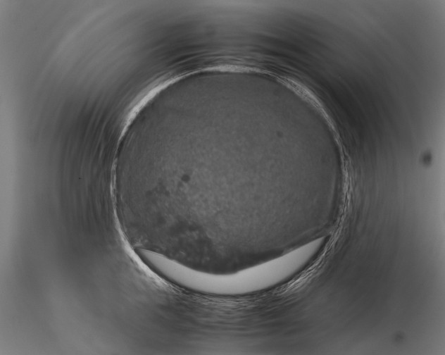 X0000116100855200912071258