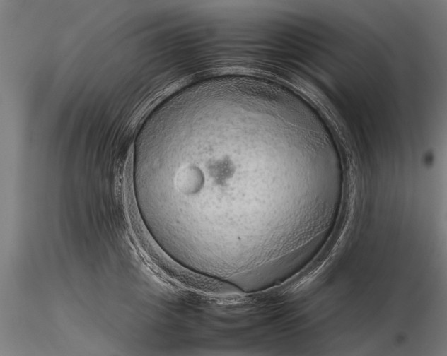 X0000116100857200912071258