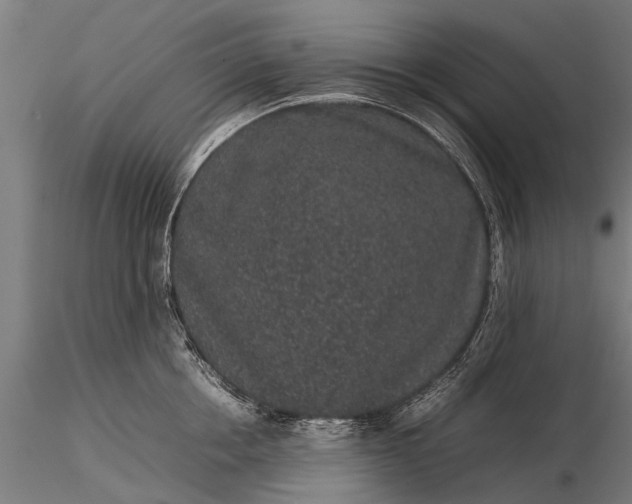 X0000116100858200912071258