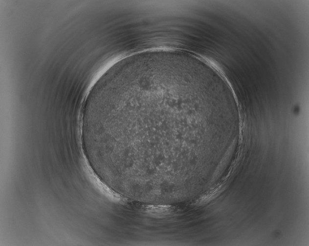 X0000116100859200912071258