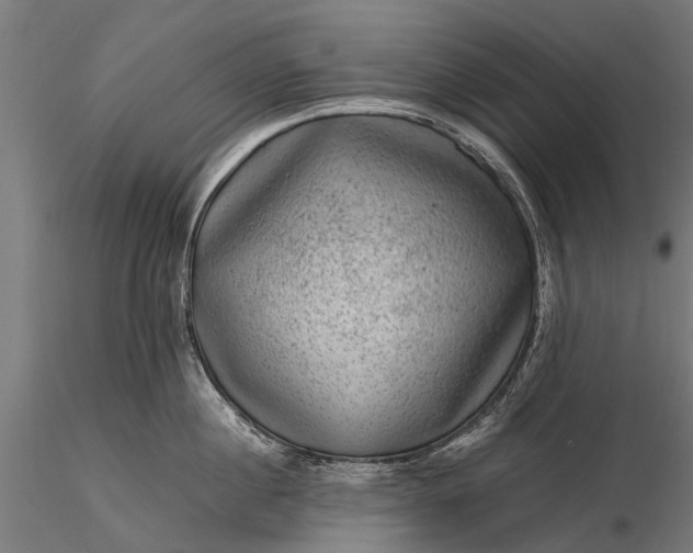 X0000116100860200912071258