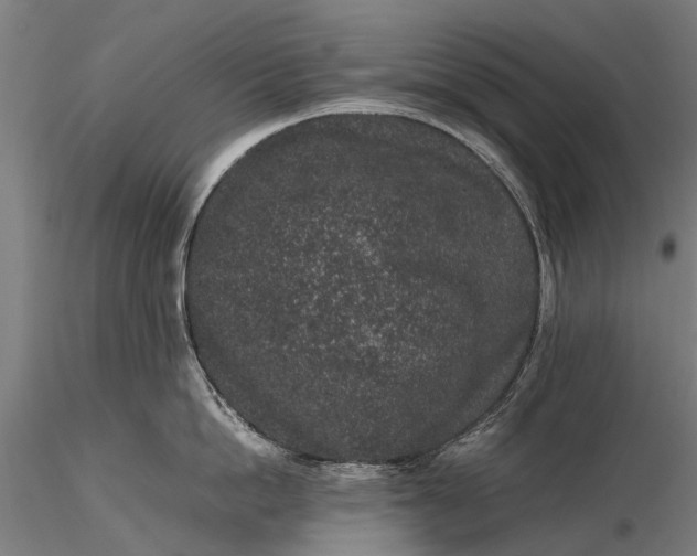 X0000116100862200912071258