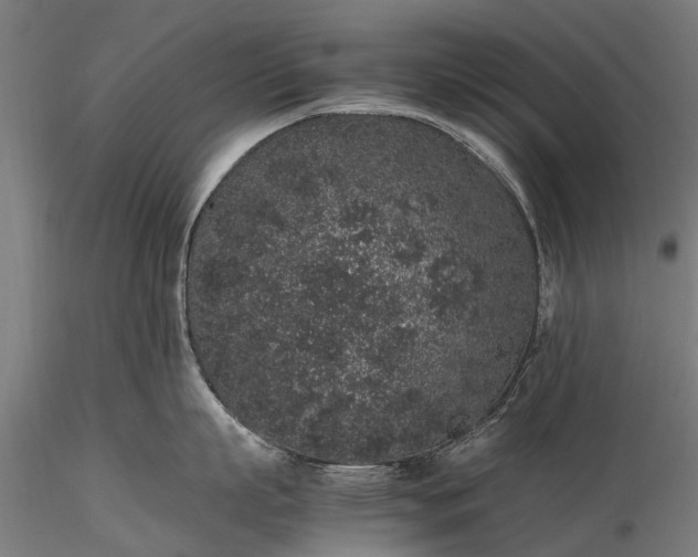 X0000116100863200912071258