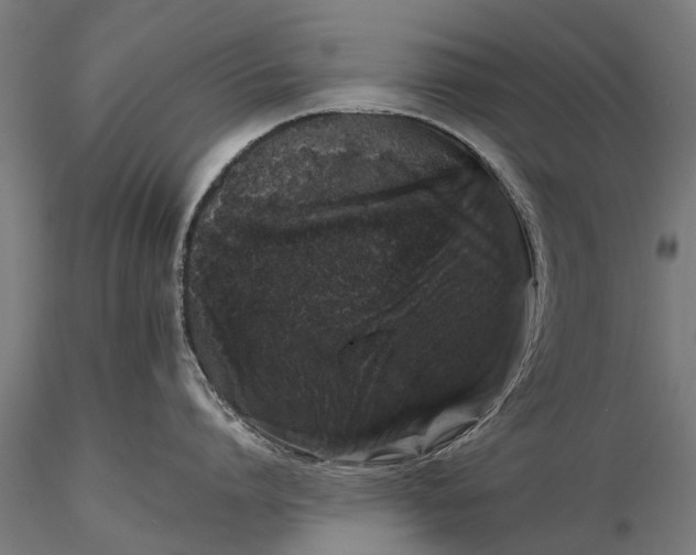 X0000116100864200912071258