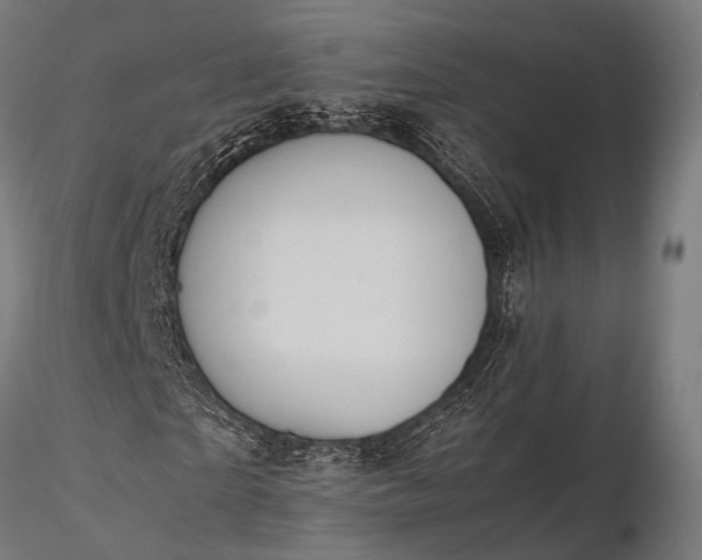 X0000116100865200912071257