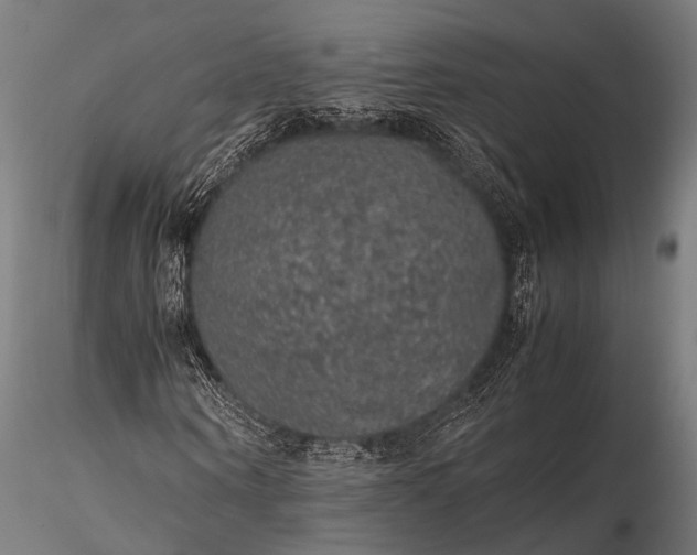 X0000116100866200912071257