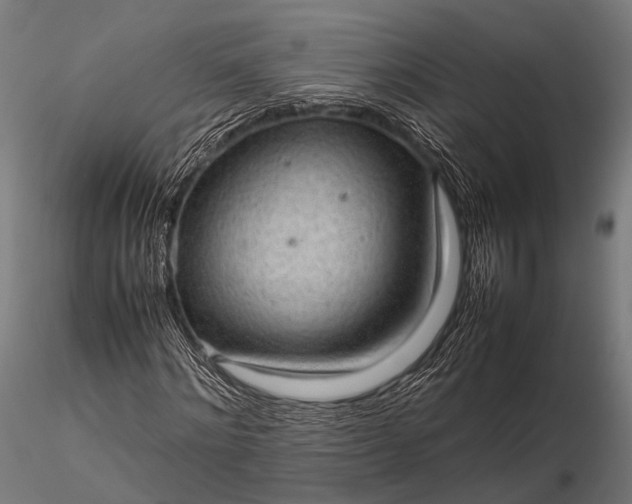 X0000116100868200912071257