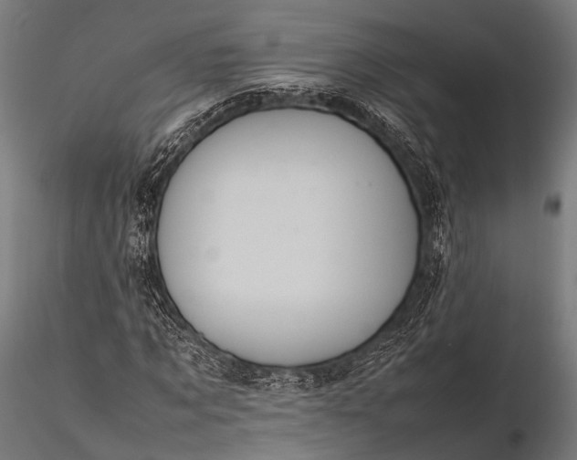 X0000116100869200912071257