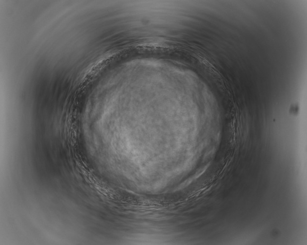 X0000116100870200912071257