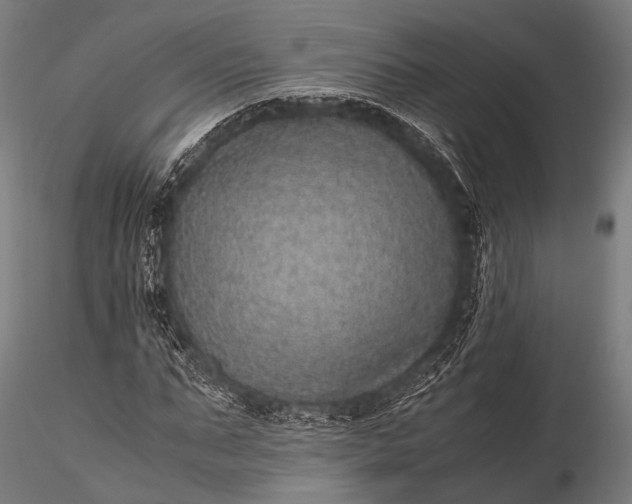 X0000116100871200912071257