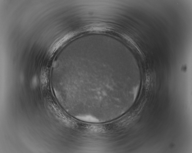 X0000116100874200912071257