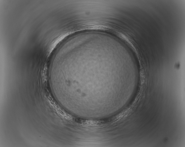 X0000116100875200912071257