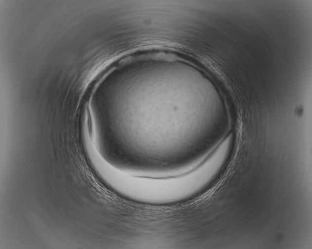 X0000116100877200912071257