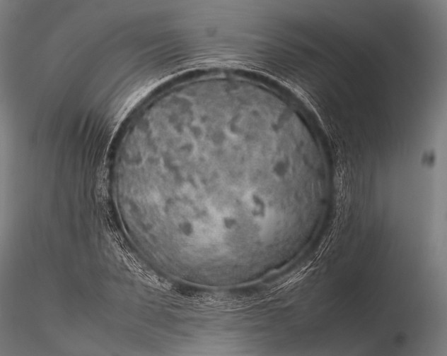 X0000116100879200912071257