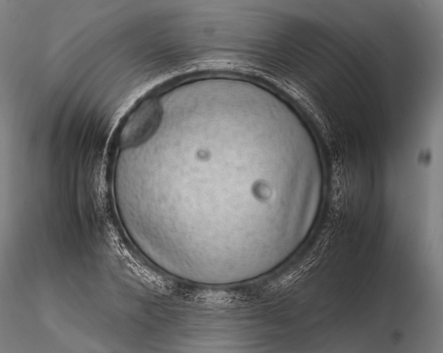 X0000116100880200912071257