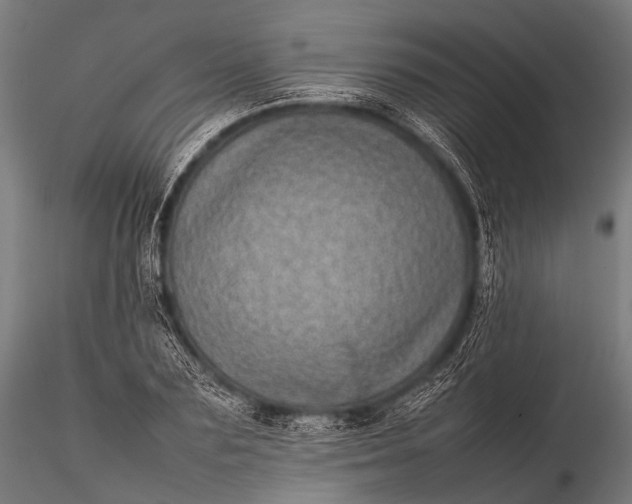 X0000116100883200912071257