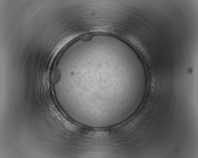 X0000116100884200912071257