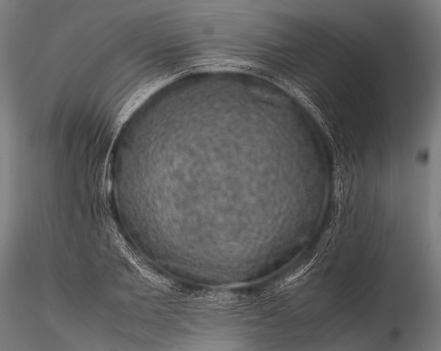 X0000116100885200912071257