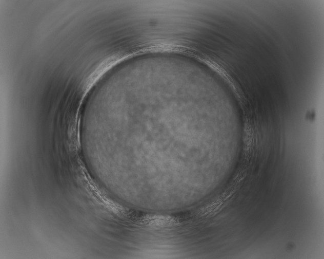 X0000116100886200912071257