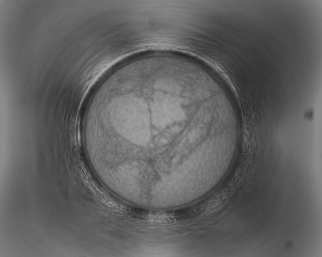 X0000116100887200912071257