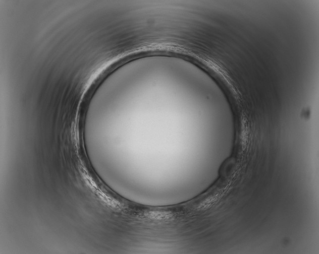 X0000116100888200912071257