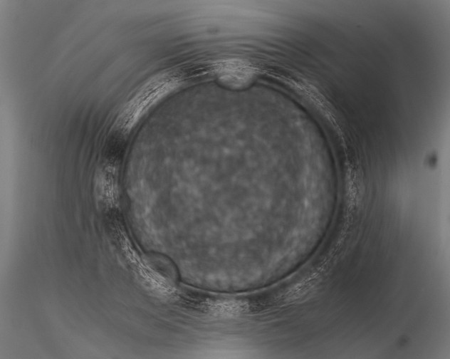 X0000116100889200912071257