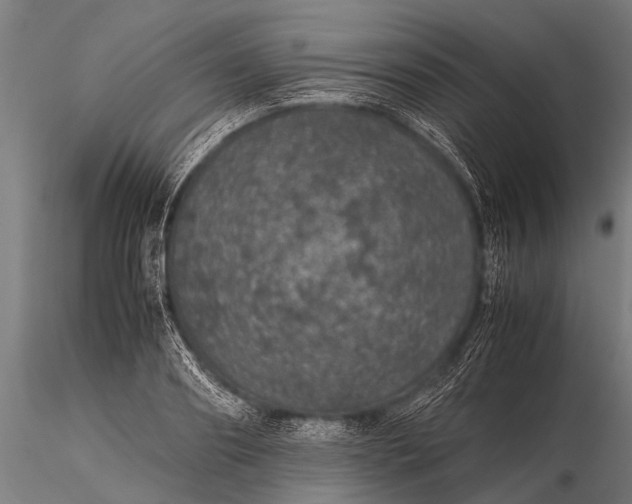 X0000116100890200912071257