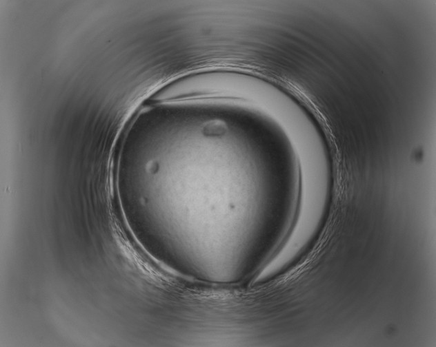 X0000116100892200912071257