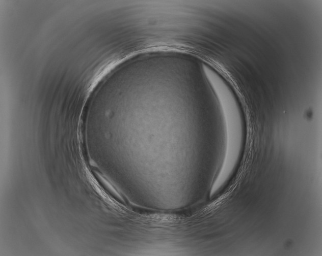 X0000116100893200912071257