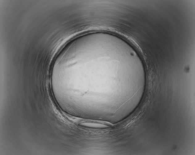 X0000116100895200912071257