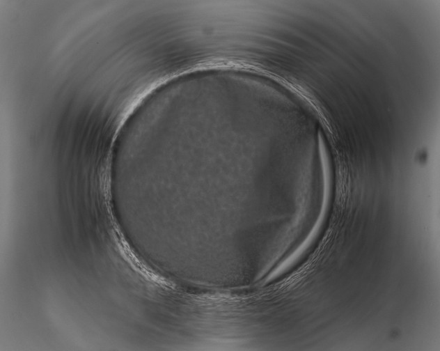 X0000116100896200912071257