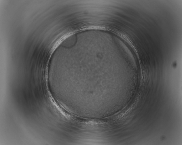 X0000116100898200912071257