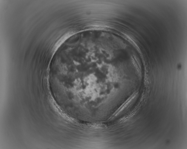 X0000116100899200912071257