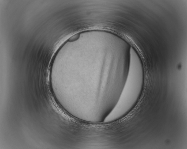 X0000116100900200912071257