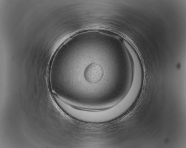 X0000116100901200912071257