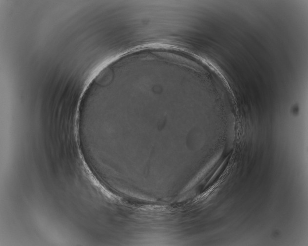 X0000116100902200912071257